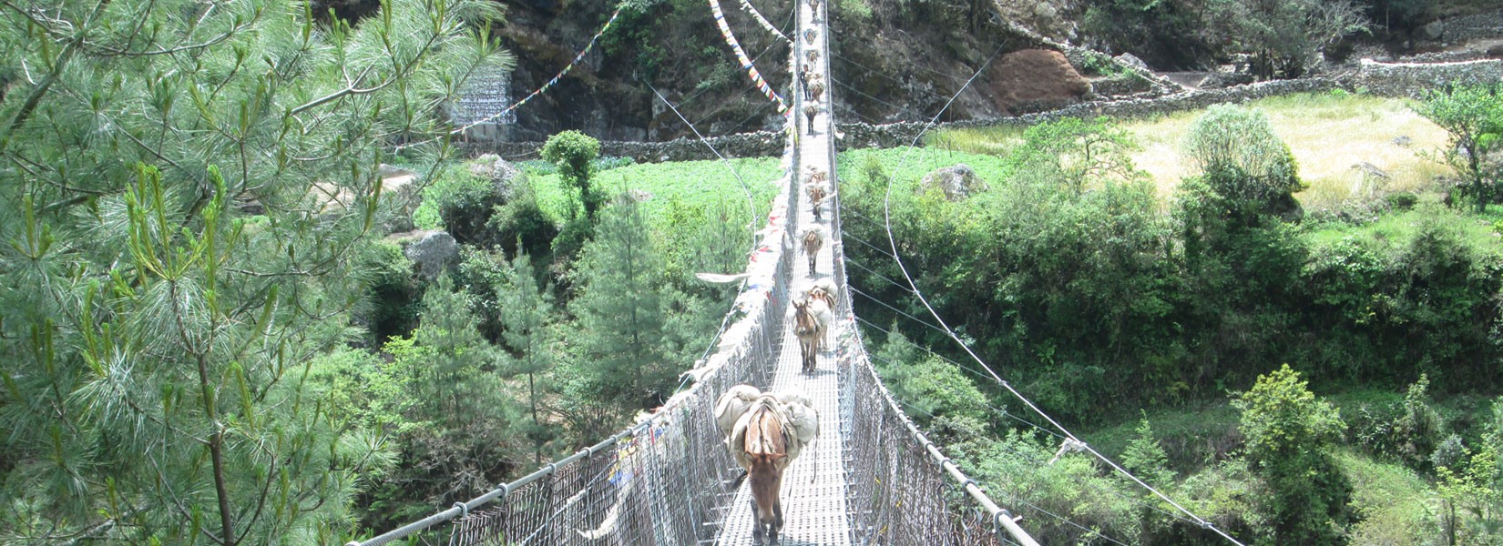 TshoRolpa Trek with Yalung RI Climbing